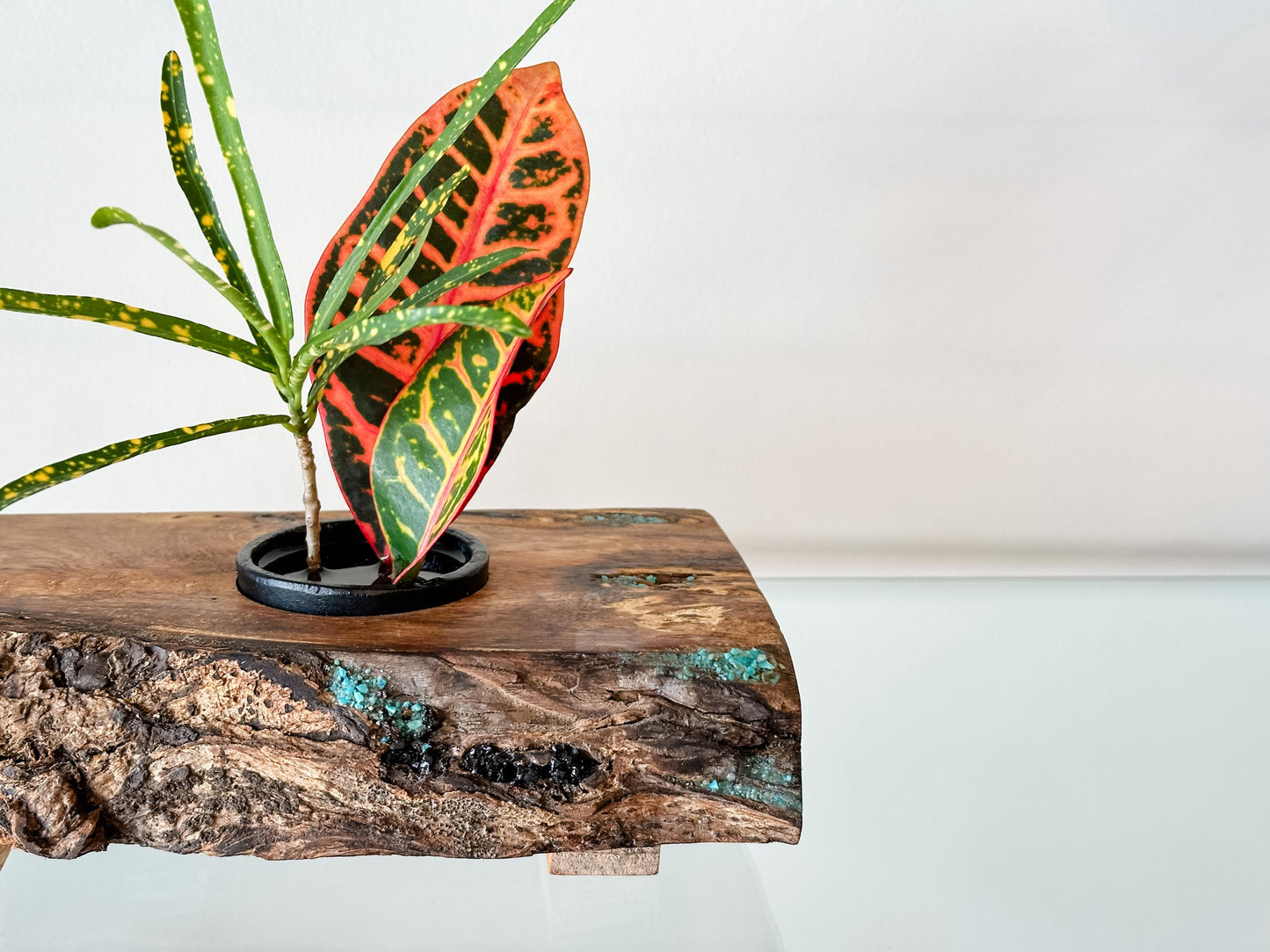 Handmade Banyan Wood Ikebana (Japanese Style Vase) with Bark Inclusion and Turquoise and Anthracite Inlay, Wood Ikebana, Made in Hawaii