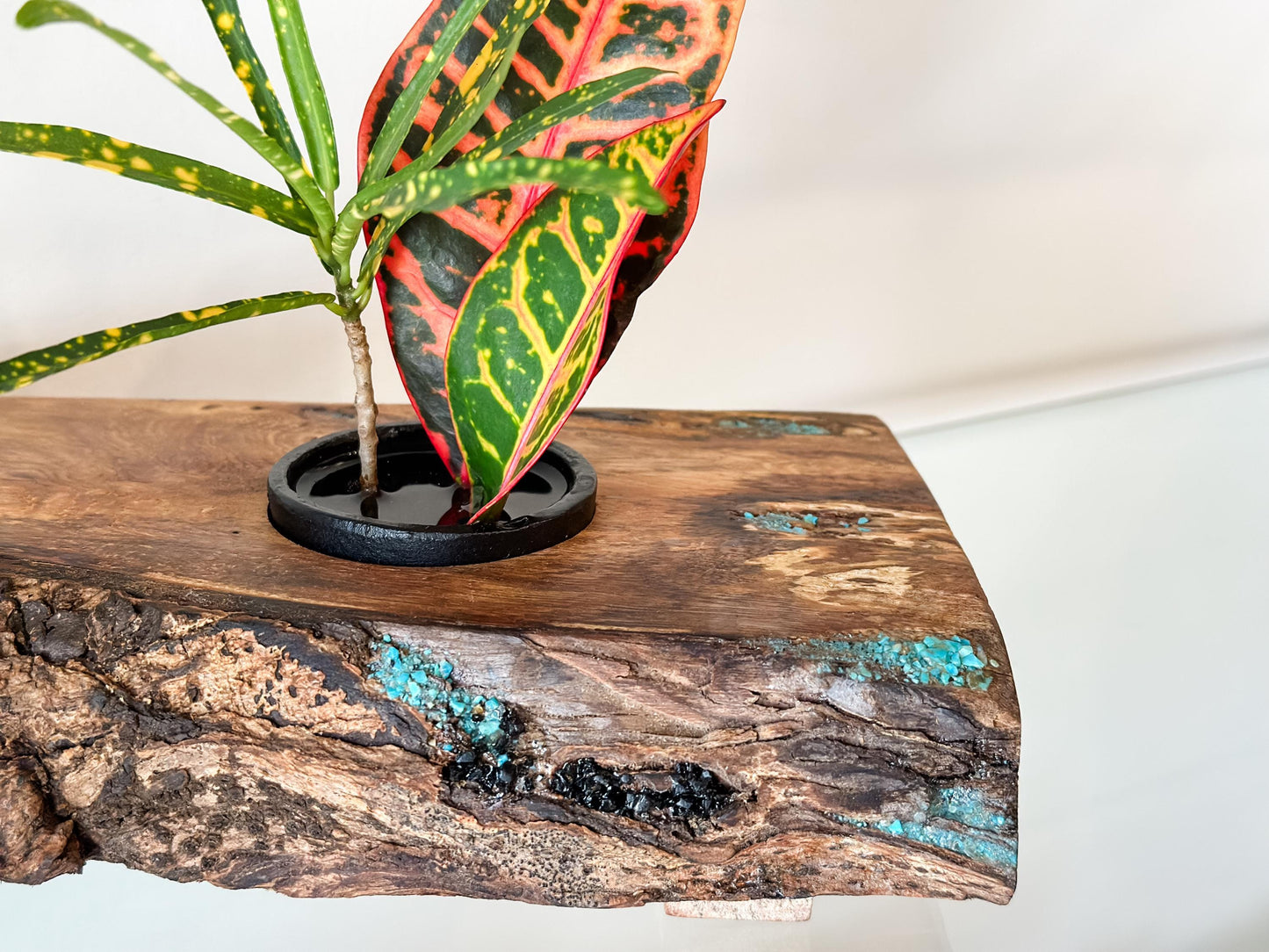 Handmade Banyan Wood Ikebana (Japanese Style Vase) with Bark Inclusion and Turquoise and Anthracite Inlay, Wood Ikebana, Made in Hawaii