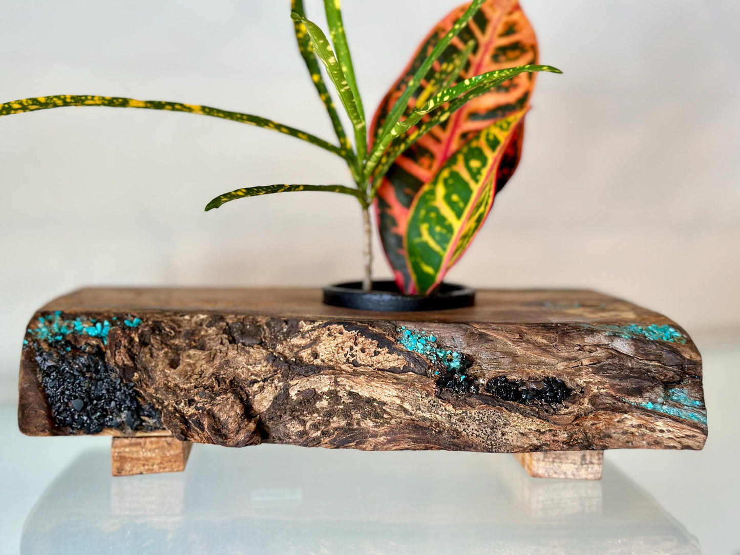 Handmade Banyan Wood Ikebana (Japanese Style Vase) with Bark Inclusion and Turquoise and Anthracite Inlay, Wood Ikebana, Made in Hawaii