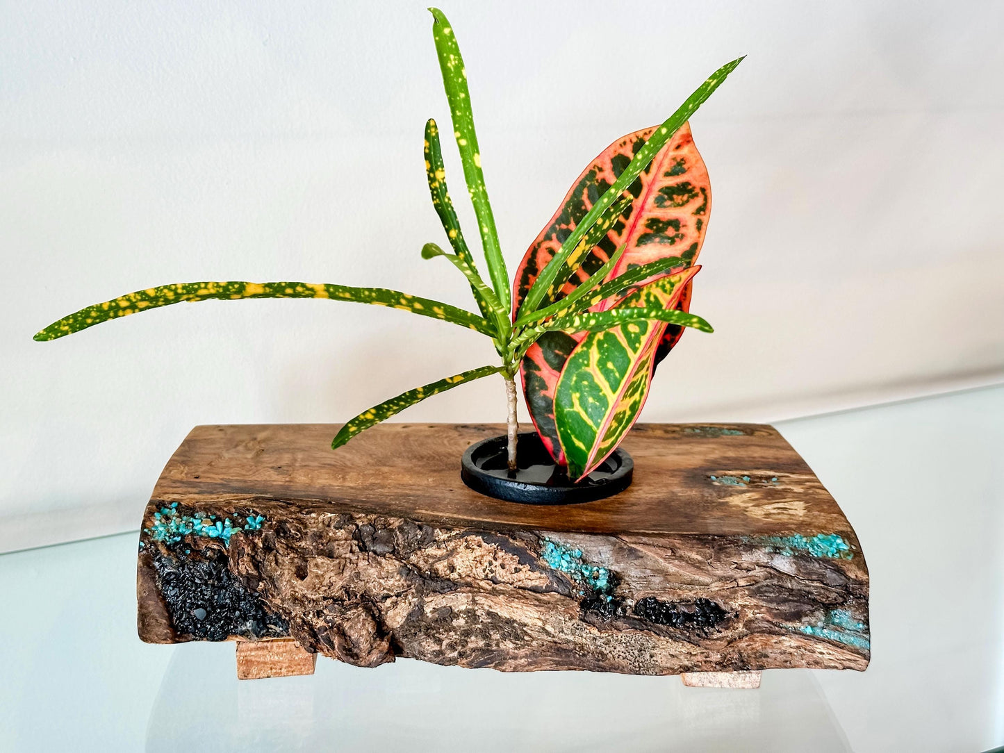 Handmade Banyan Wood Ikebana (Japanese Style Vase) with Bark Inclusion and Turquoise and Anthracite Inlay, Wood Ikebana, Made in Hawaii