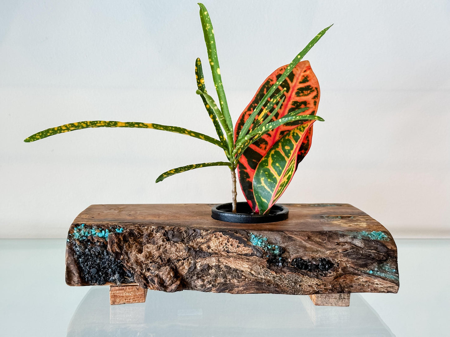 Handmade Banyan Wood Ikebana (Japanese Style Vase) with Bark Inclusion and Turquoise and Anthracite Inlay, Wood Ikebana, Made in Hawaii
