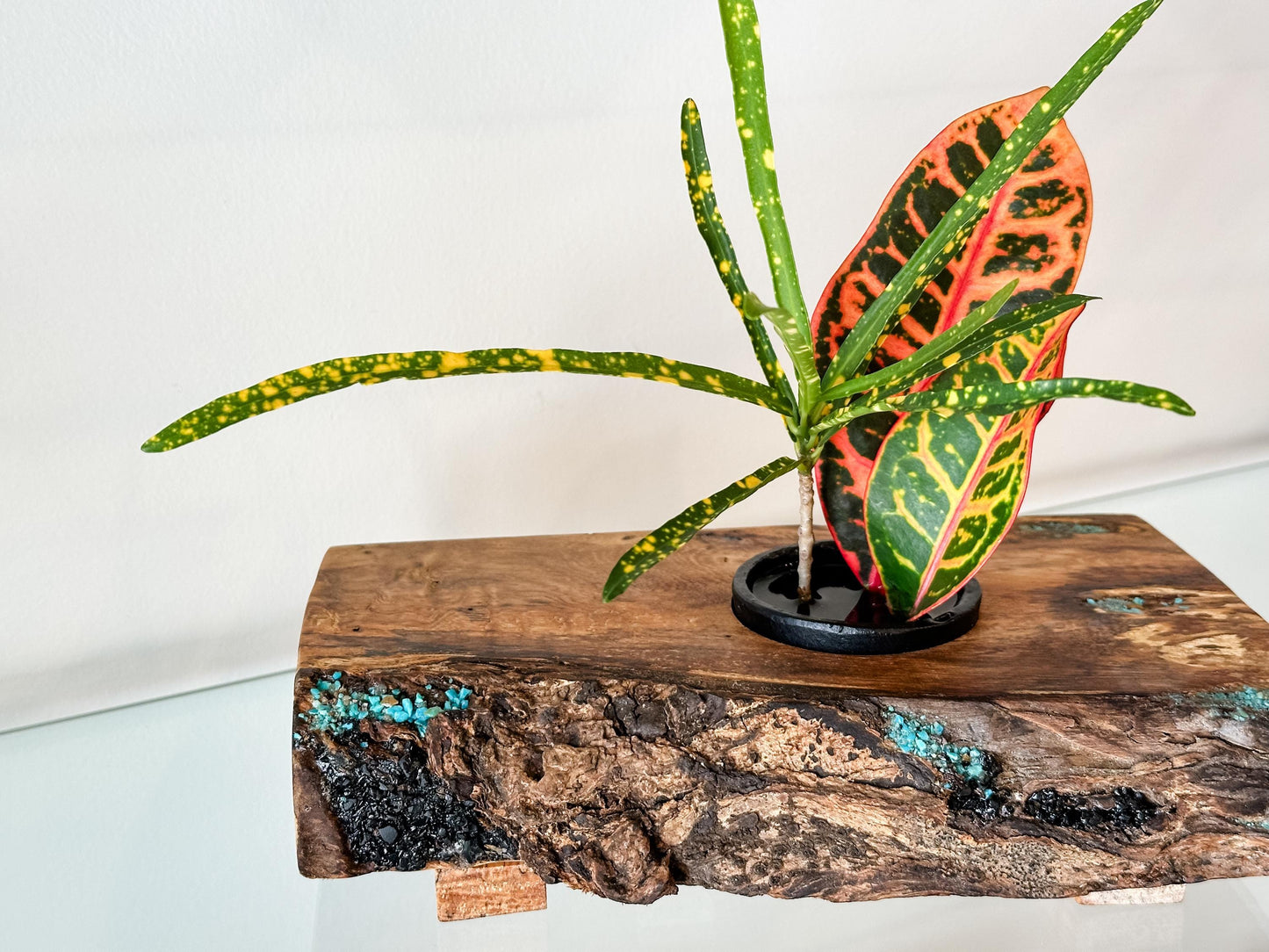 Handmade Banyan Wood Ikebana (Japanese Style Vase) with Bark Inclusion and Turquoise and Anthracite Inlay, Wood Ikebana, Made in Hawaii