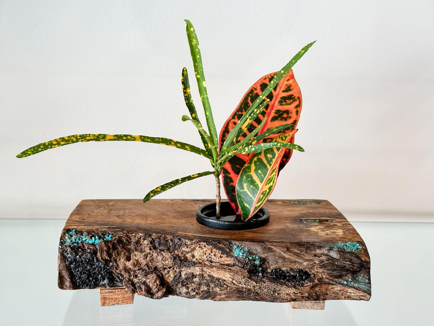 Handmade Banyan Wood Ikebana (Japanese Style Vase) with Bark Inclusion and Turquoise and Anthracite Inlay, Wood Ikebana, Made in Hawaii
