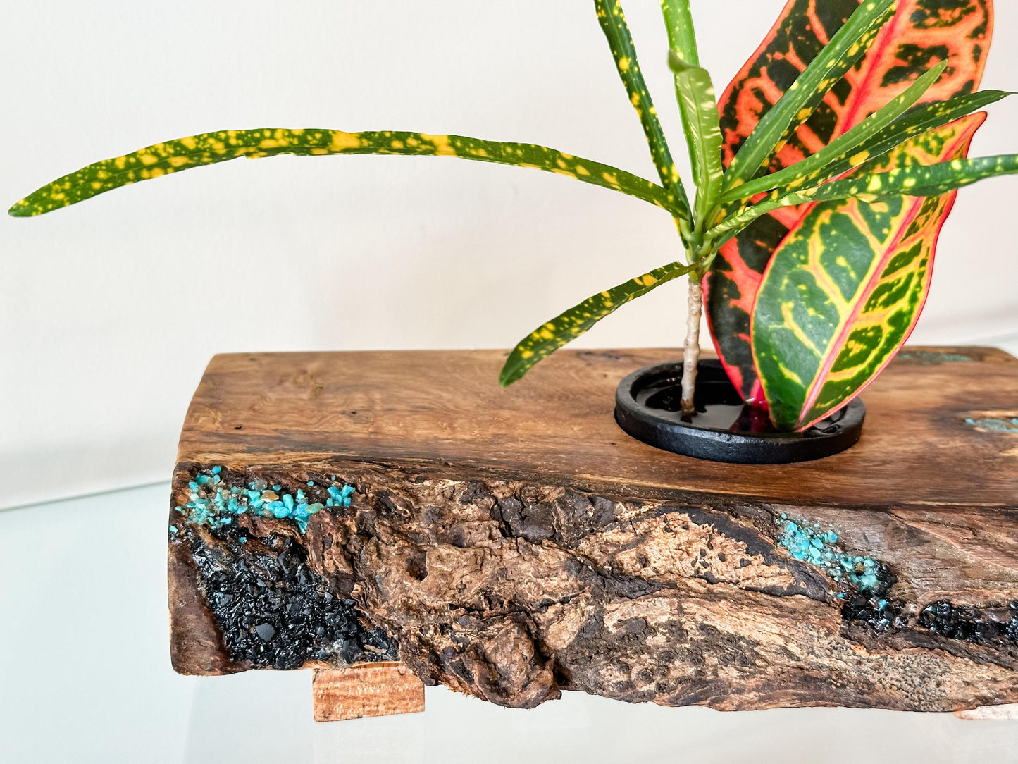Handmade Banyan Wood Ikebana (Japanese Style Vase) with Bark Inclusion and Turquoise and Anthracite Inlay, Wood Ikebana, Made in Hawaii