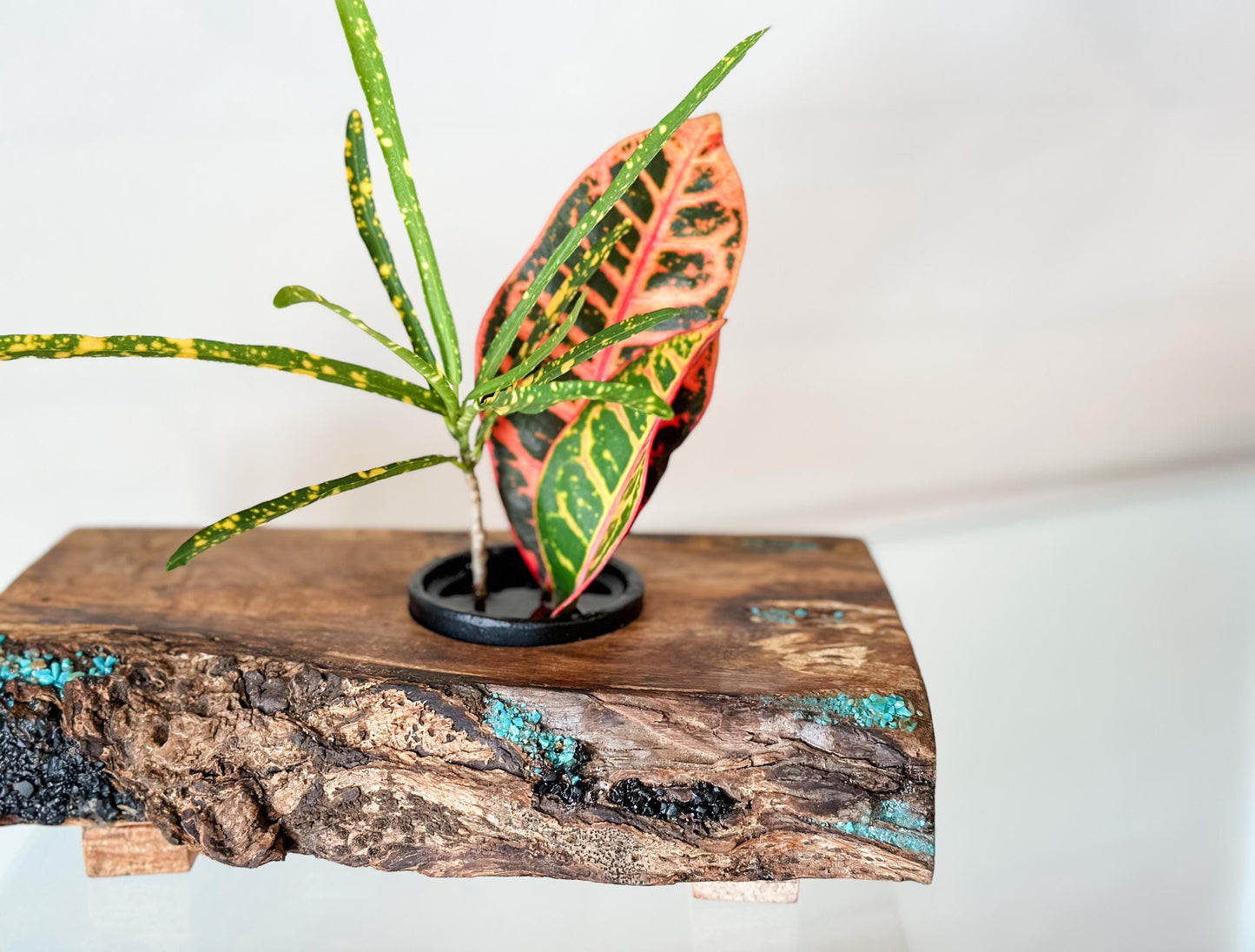 Handmade Banyan Wood Ikebana (Japanese Style Vase) with Bark Inclusion and Turquoise and Anthracite Inlay, Wood Ikebana, Made in Hawaii